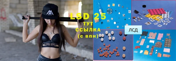 индика Сатка