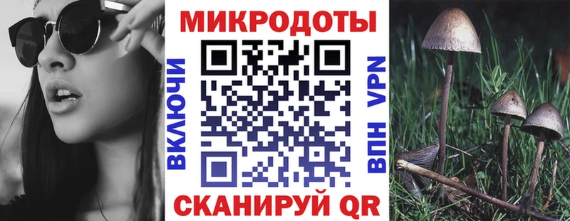 hydra зеркало Касли Галлюциногенные грибы мицелий